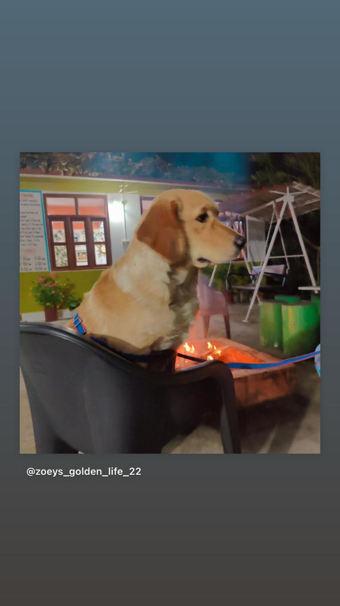 Maa Anand Mayee Guest House Panuanaula Ngoại thất bức ảnh